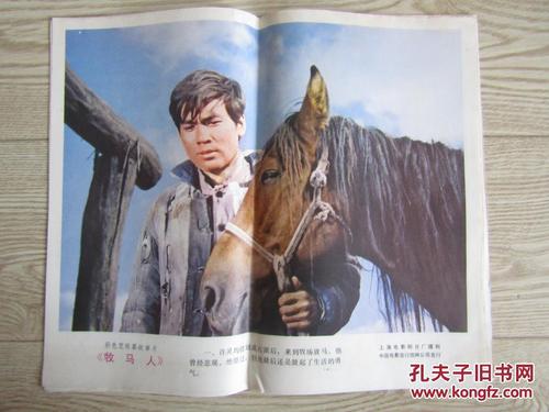 湾路大学文凭毕业证样本照片